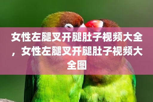 女性左腿叉开腿肚子视频大全，女性左腿叉开腿肚子视频大全图