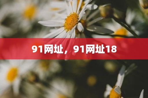 91网址，91网址18
