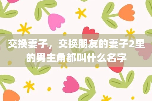 交换妻子，交换朋友的妻子2里的男主角都叫什么名字