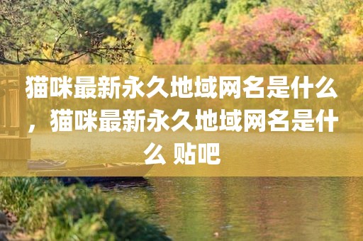 猫咪最新永久地域网名是什么，猫咪最新永久地域网名是什么 贴吧