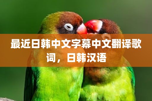 最近日韩中文字幕中文翻译歌词，日韩汉语