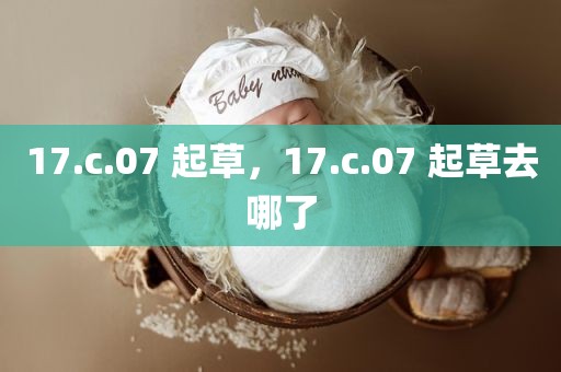 17.c.07 起草，17.c.07 起草去哪了