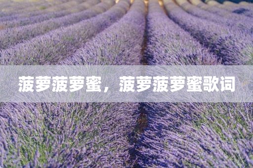 菠萝菠萝蜜，菠萝菠萝蜜歌词