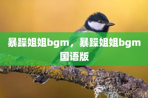 暴躁姐姐bgm，暴躁姐姐bgm国语版