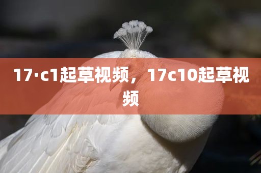 17·c1起草视频，17c10起草视频