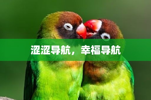涩涩导航，幸福导航