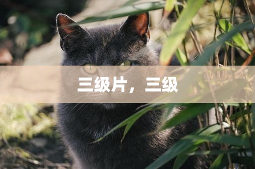 三级片，三级
