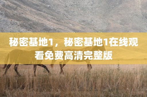 秘密基地1，秘密基地1在线观看免费高清完整版