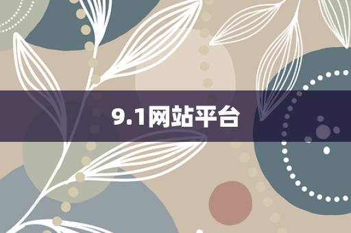 9.1网站平台