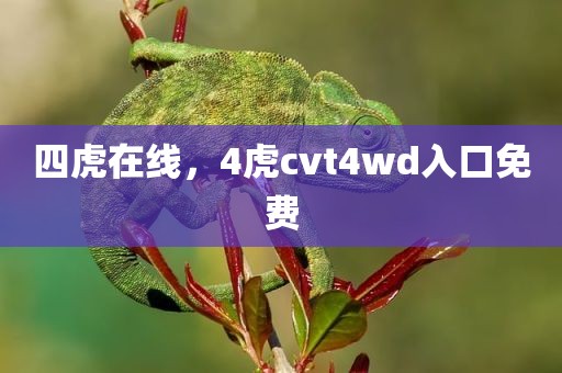 四虎在线，4虎cvt4wd入口免费