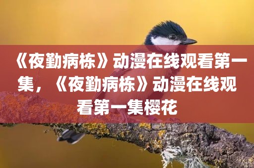 《夜勤病栋》动漫在线观看第一集，《夜勤病栋》动漫在线观看第一集樱花