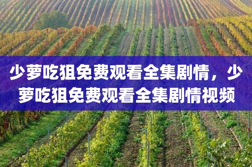 少萝吃狙免费观看全集剧情，少萝吃狙免费观看全集剧情视频