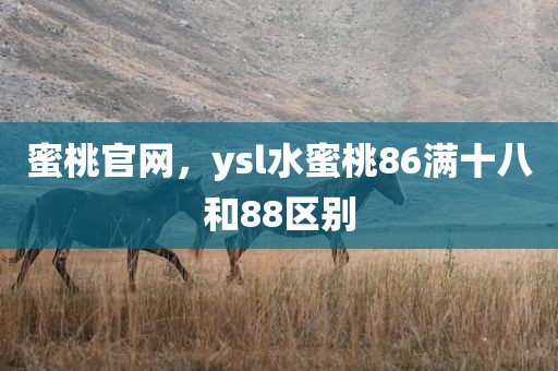 蜜桃官网，ysl水蜜桃86满十八和88区别