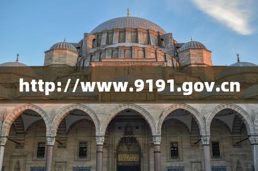 http://www.9191.gov.cn