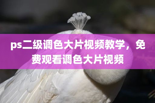 ps二级调色大片视频教学，免费观看调色大片视频