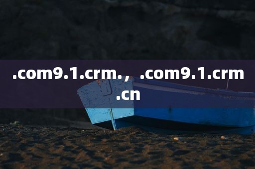 .com9.1.crm.，.com9.1.crm.cn