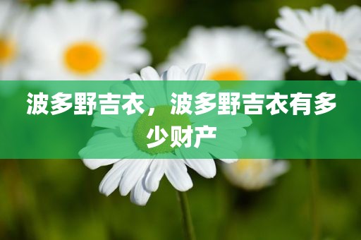 波多野吉衣，波多野吉衣有多少财产