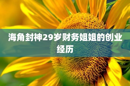 海角封神29岁财务姐姐的创业经历