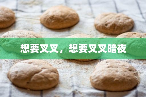想要叉叉，想要叉叉暗夜