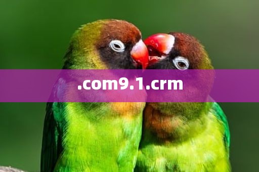 .com9.1.crm