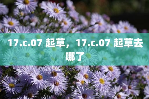 17.c.07 起草，17.c.07 起草去哪了