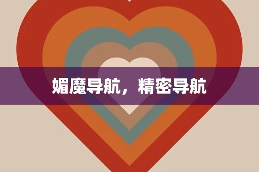 媚魔导航，精密导航