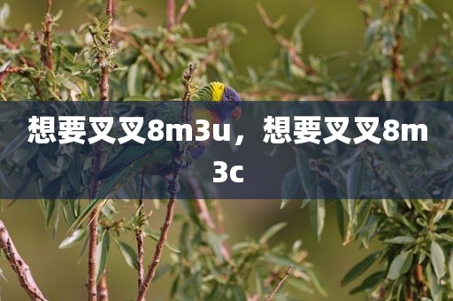 想要叉叉8m3u，想要叉叉8m3c