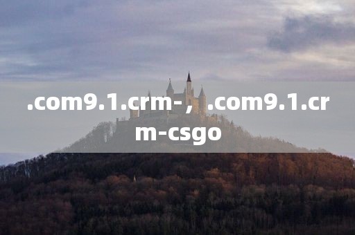 .com9.1.crm-，.com9.1.crm-csgo