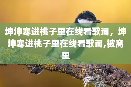 坤坤寒进桃子里在线看歌词，坤坤寒进桃子里在线看歌词,被窝里