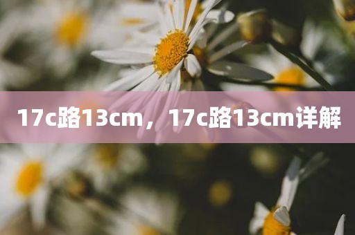 17c路13cm，17c路13cm详解