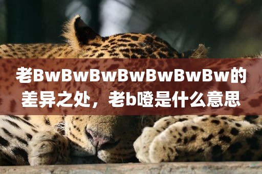 老BwBwBwBwBwBwBw的差异之处，老b噔是什么意思