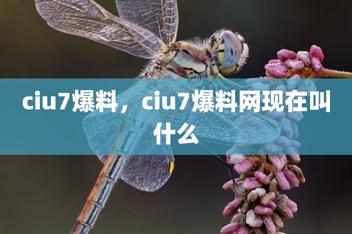 ciu7爆料，ciu7爆料网现在叫什么