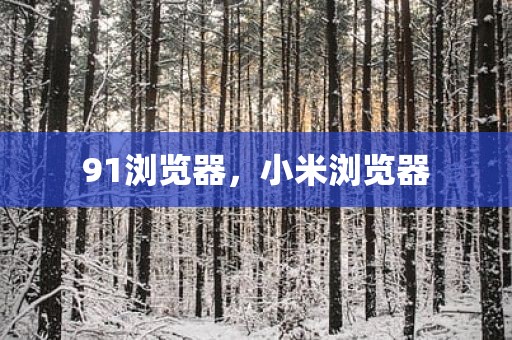 91浏览器，小米浏览器