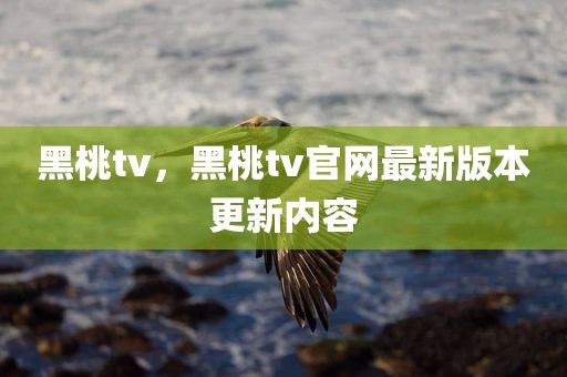 黑桃tv，黑桃tv官网最新版本更新内容
