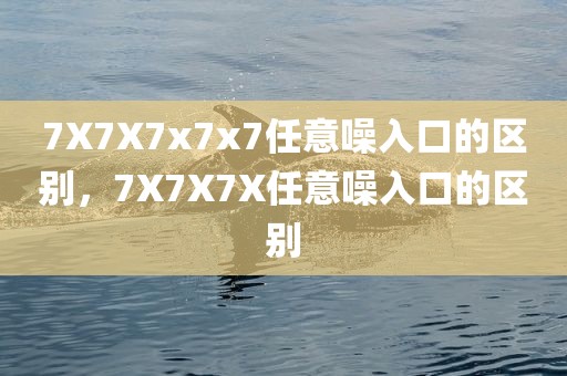 7X7X7x7x7任意噪入口的区别，7X7X7X任意噪入口的区别