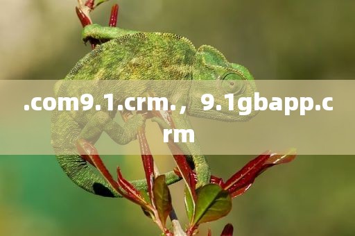 .com9.1.crm.，9.1gbapp.crm