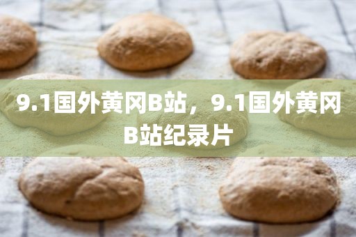9.1国外黄冈B站，9.1国外黄冈B站纪录片