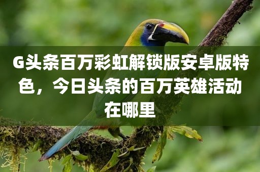 G头条百万彩虹解锁版安卓版特色，今日头条的百万英雄活动在哪里