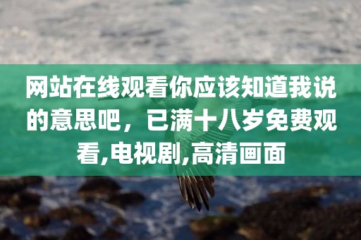 网站在线观看你应该知道我说的意思吧，已满十八岁免费观看,电视剧,高清画面