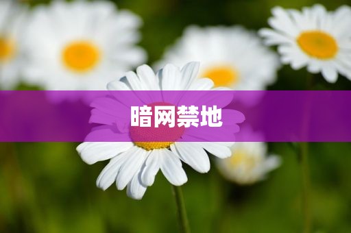 暗网禁地