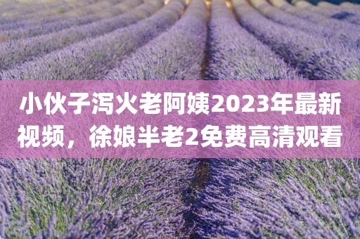 小伙子泻火老阿姨2023年最新视频，徐娘半老2免费高清观看