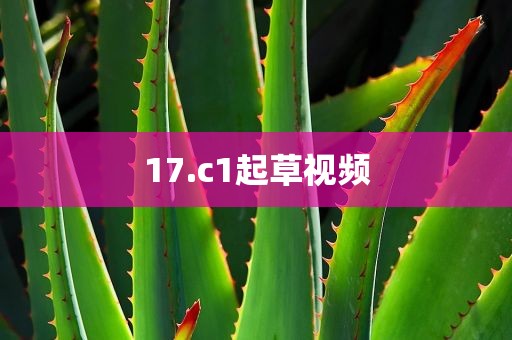 17.c1起草视频
