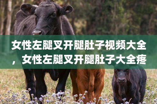 女性左腿叉开腿肚子视频大全，女性左腿叉开腿肚子大全疼