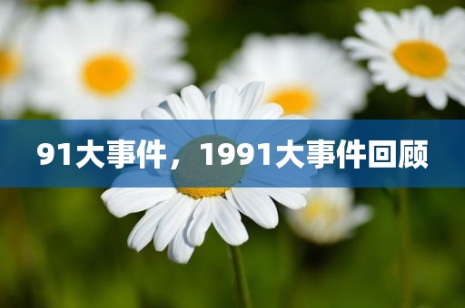 91大事件，1991大事件回顾