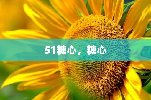 51糖心，糖心