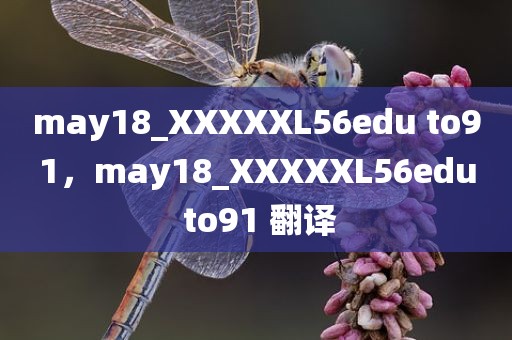 may18_XXXXXL56edu to91，may18_XXXXXL56edu to91 翻译