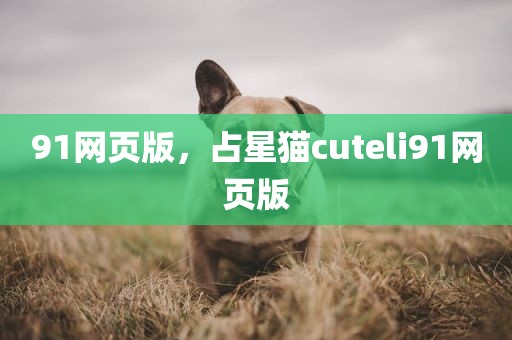91网页版，占星猫cuteli91网页版