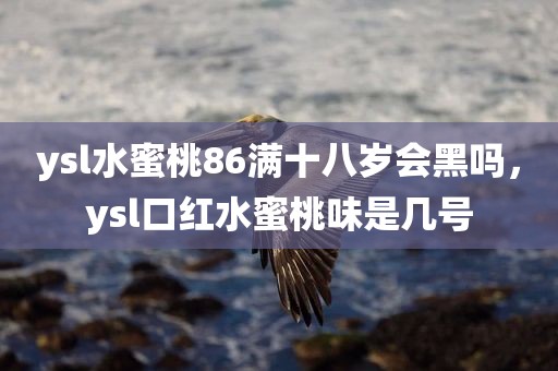 ysl水蜜桃86满十八岁会黑吗，ysl口红水蜜桃味是几号