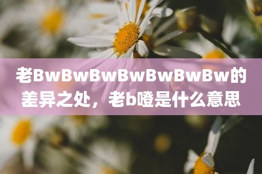 老BwBwBwBwBwBwBw的差异之处，老b噔是什么意思