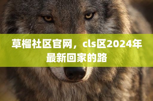 草榴社区官网，cls区2024年最新回家的路